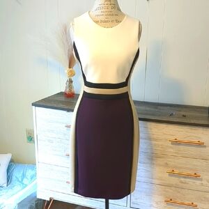 Elegant Cream and Purple Women's Skirt